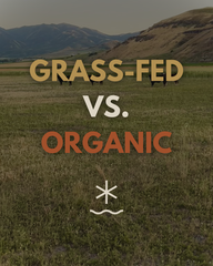 Grass-Fed vs. Organic Beef: We Reviewed the Science, and It'll Surprise You
