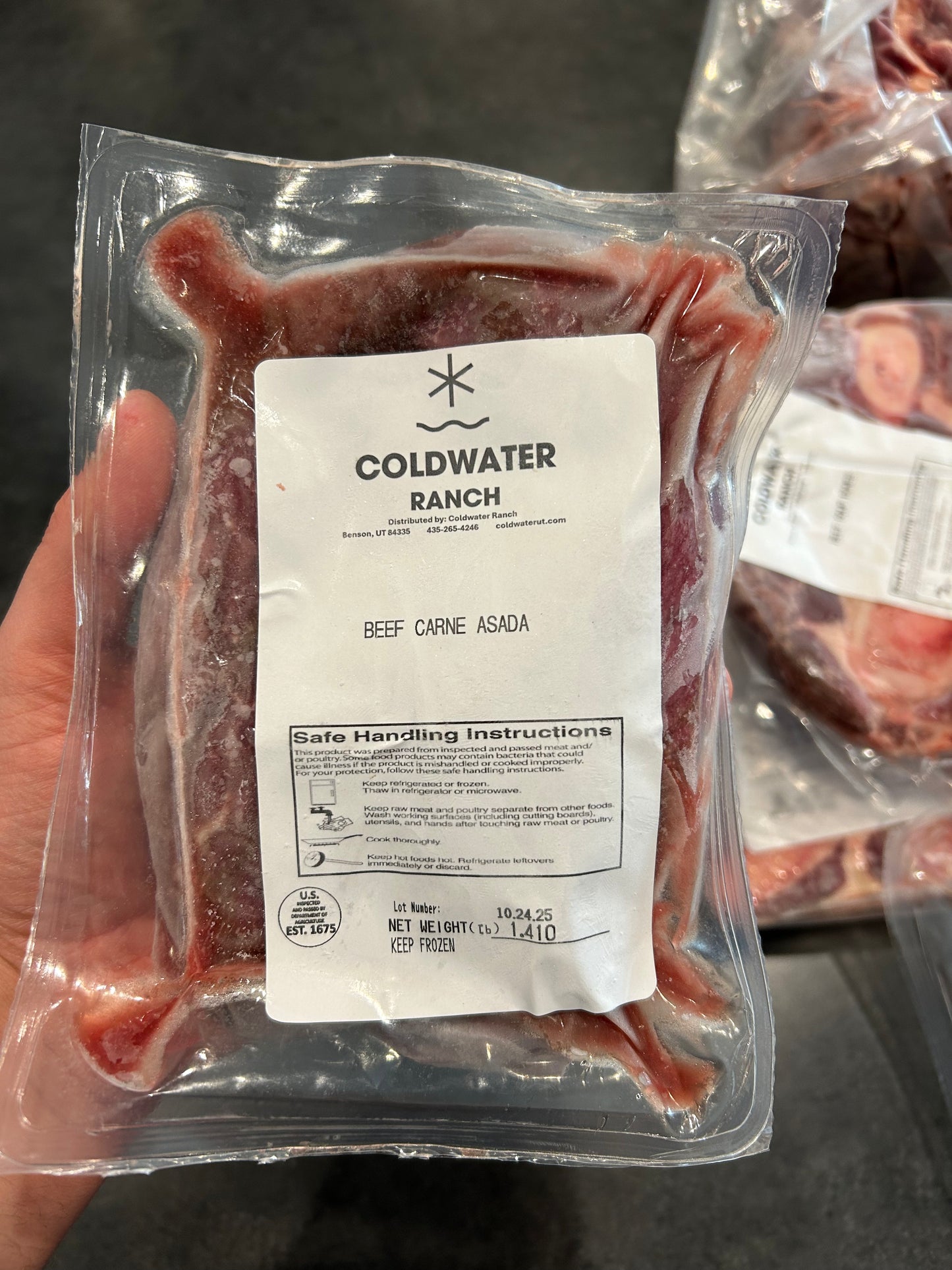 Carne Asada